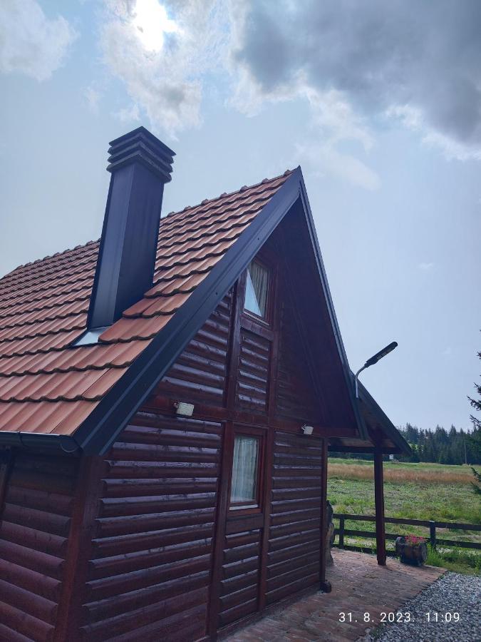 Vila Carobna Suma Tara Bajina Basta Exterior foto